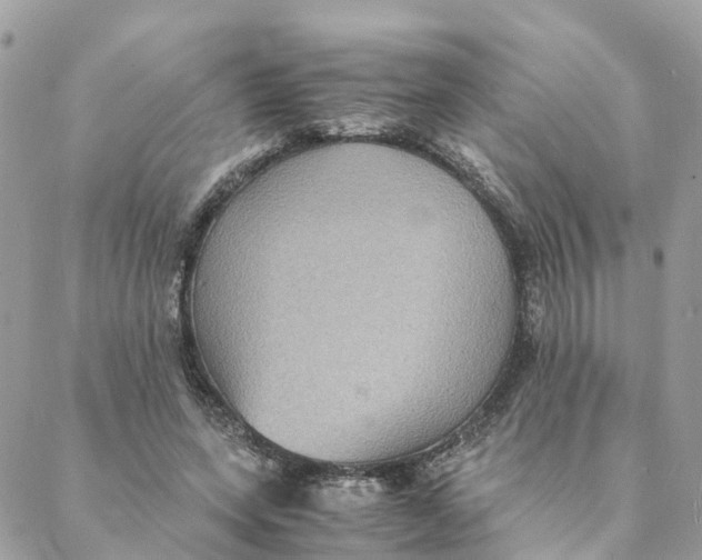 X0000088070543200706011516