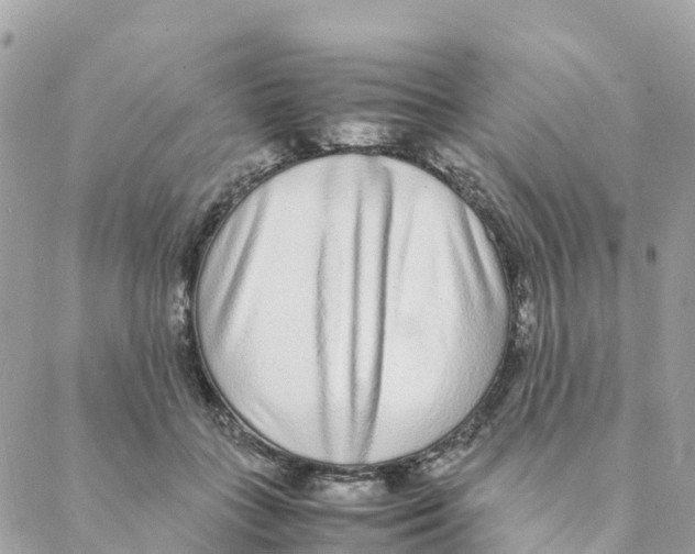 X0000088070555200706011516