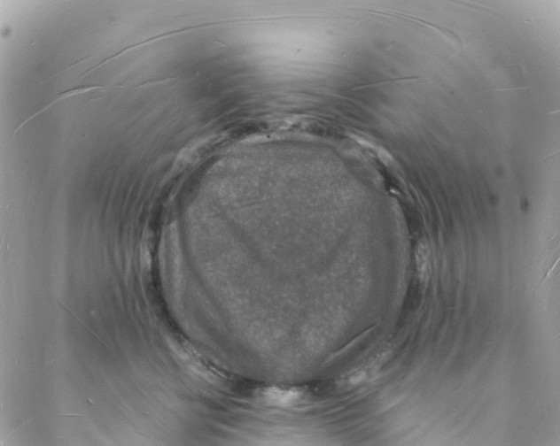 X0000088070570200706011516