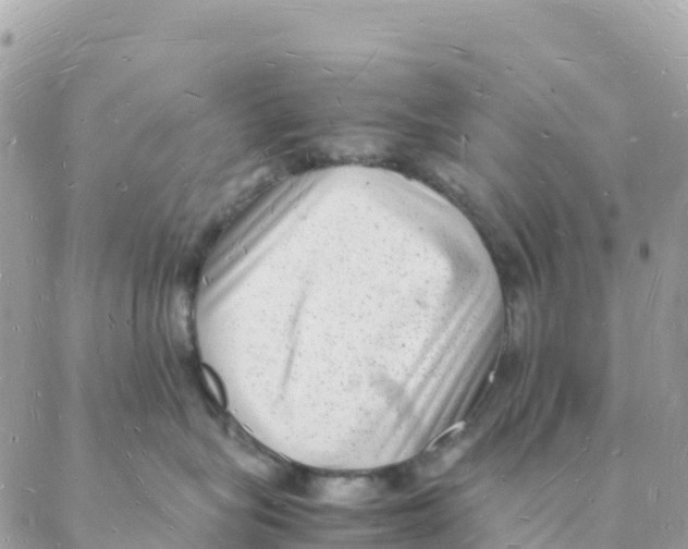X0000088070575200706011516