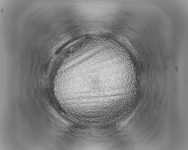 X0000088070585200706011516