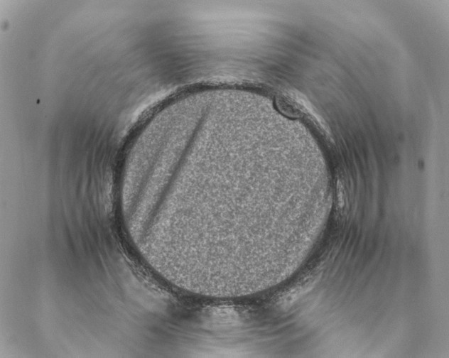 X0000088070588200706011516