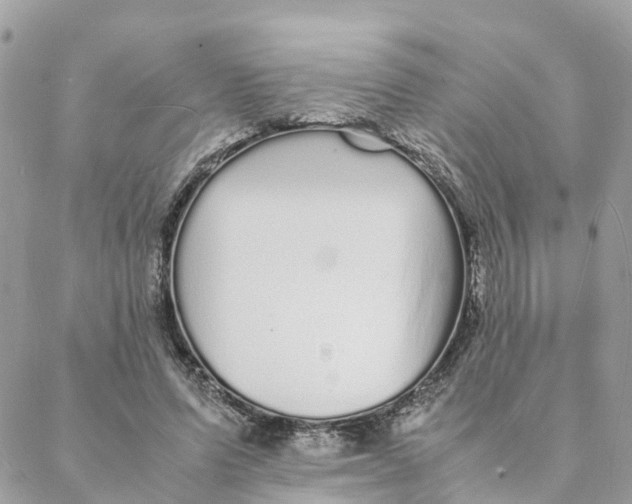 X0000088070591200706011515