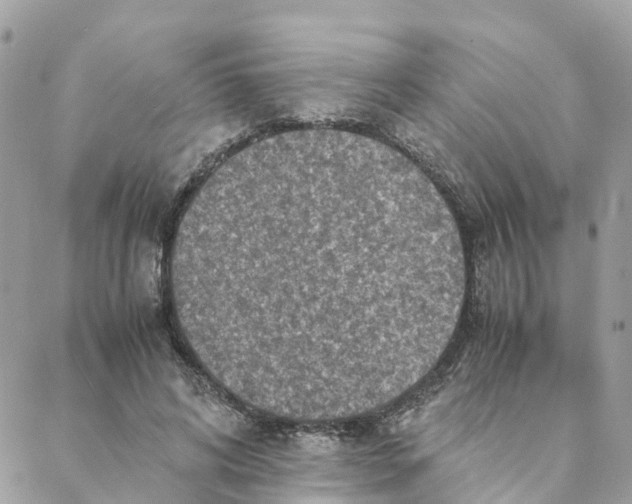 X0000088070592200706011515