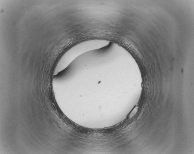 X0000088070593200706011515