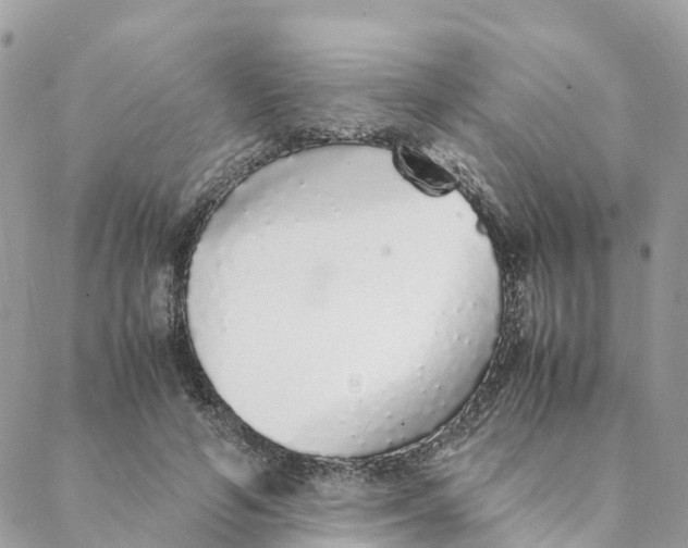 X0000088070594200706011515