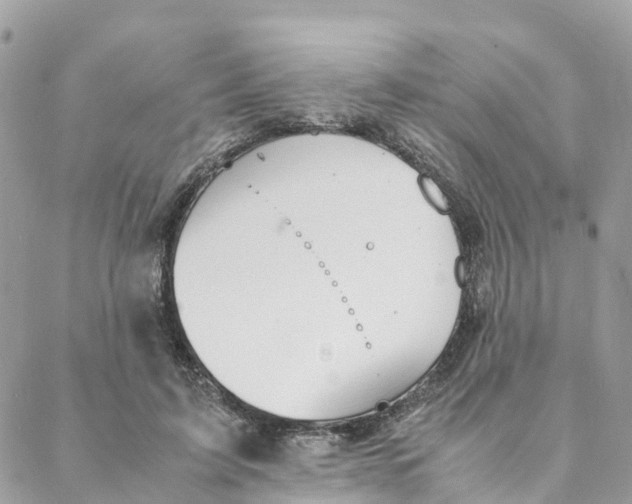 X0000088070595200706011515