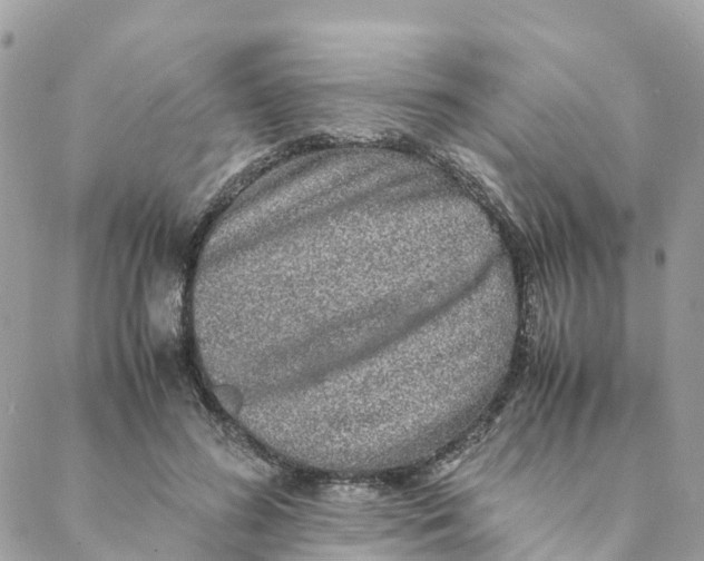 X0000088070596200706011515