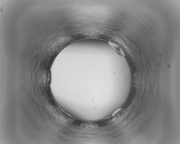 X0000088070597200706011515