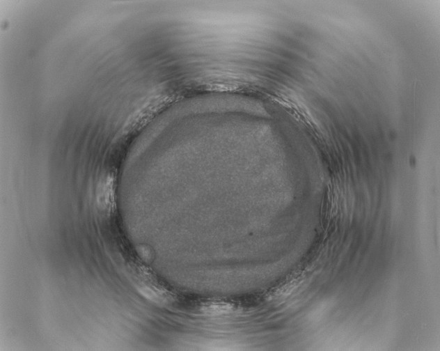 X0000088070598200706011515