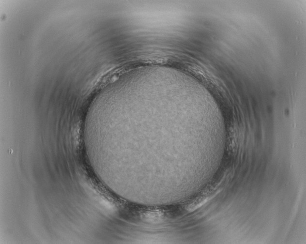 X0000088070600200706011515