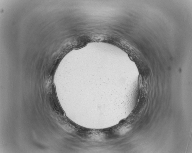 X0000088070601200706011515