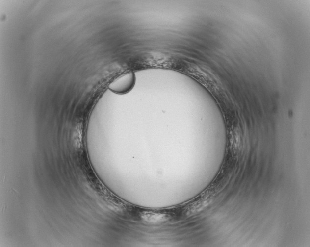 X0000088070602200706011515