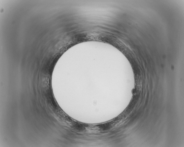 X0000088070603200706011515