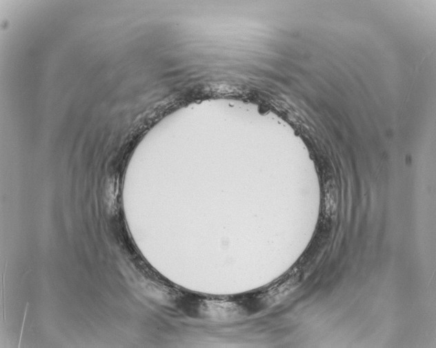 X0000088070605200706011515