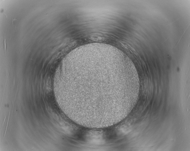 X0000088070606200706011515