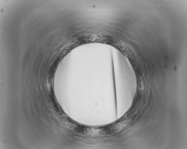 X0000088070607200706011515