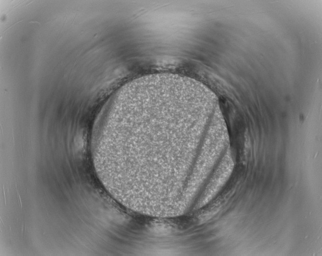 X0000088070608200706011515