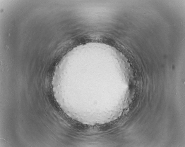 X0000088070609200706011515