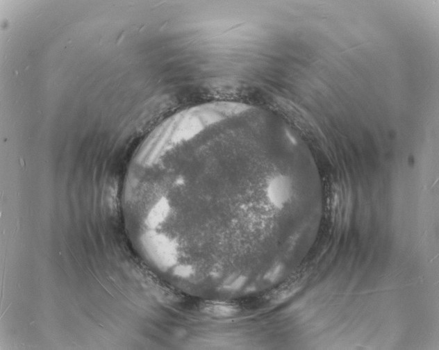 X0000088070610200706011515