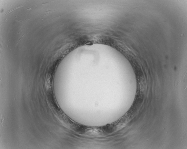 X0000088070611200706011515