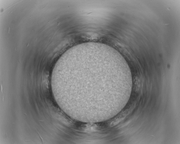 X0000088070612200706011515