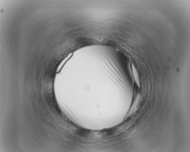 X0000088070613200706011515