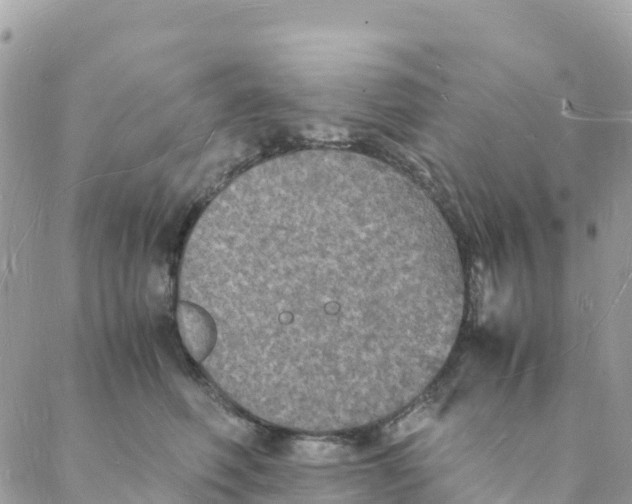 X0000088070614200706011515