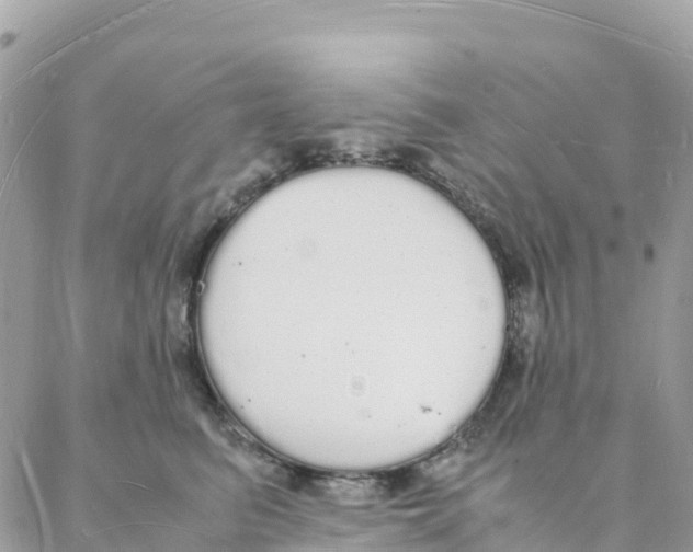 X0000088070615200706011515