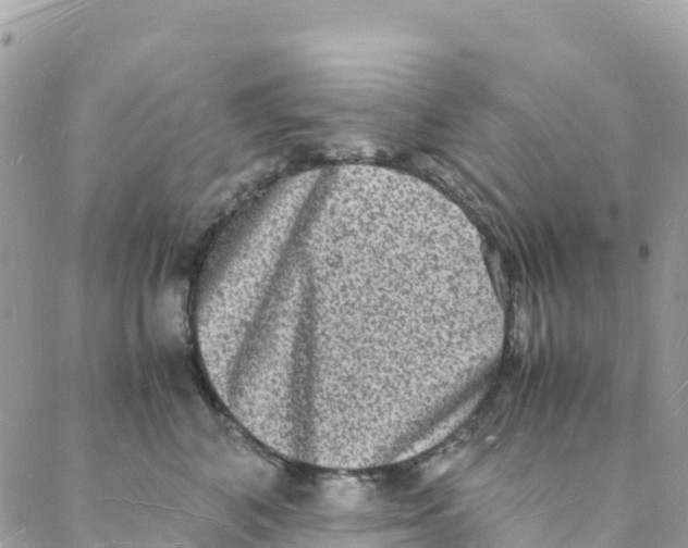 X0000088070616200706011515