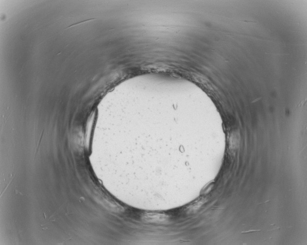 X0000088070617200706011515