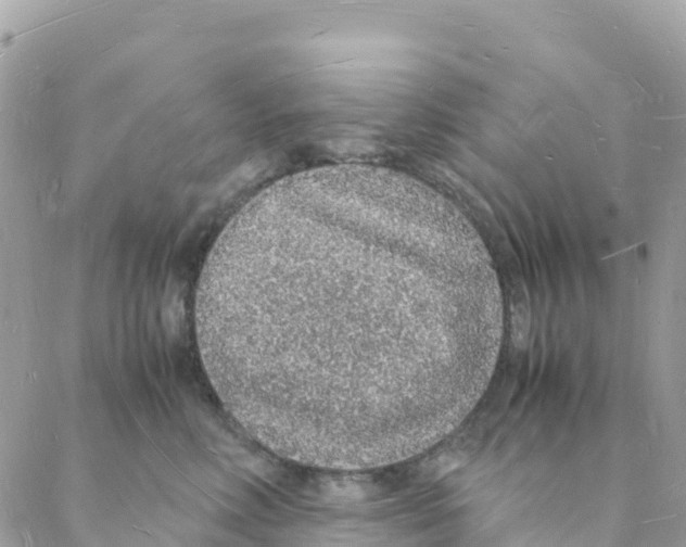 X0000088070618200706011515