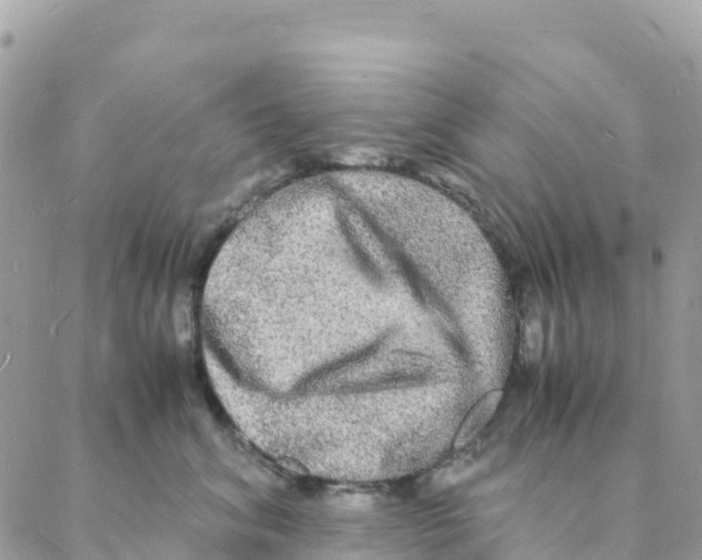 X0000088070620200706011515