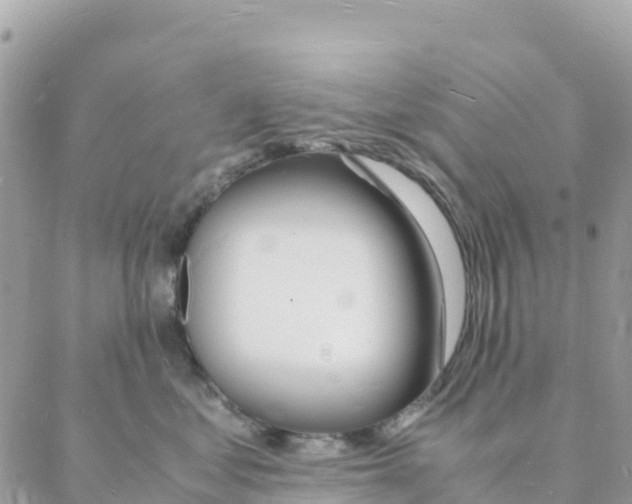 X0000088070621200706011515