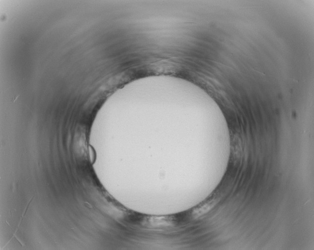 X0000088070622200706011515