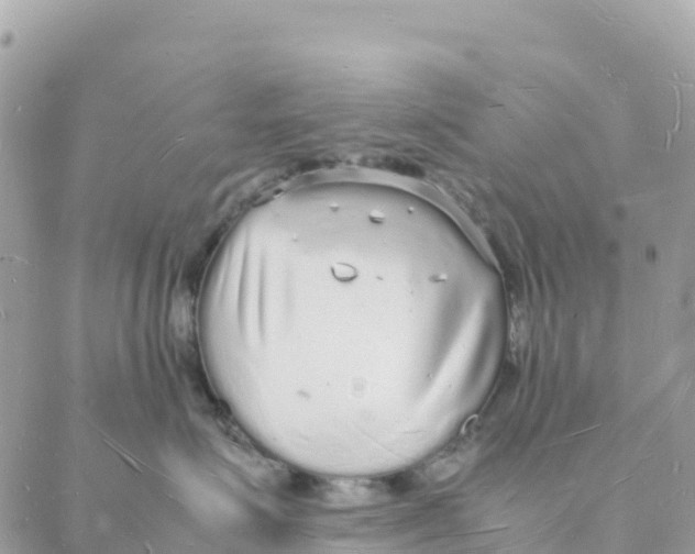 X0000088070623200706011515