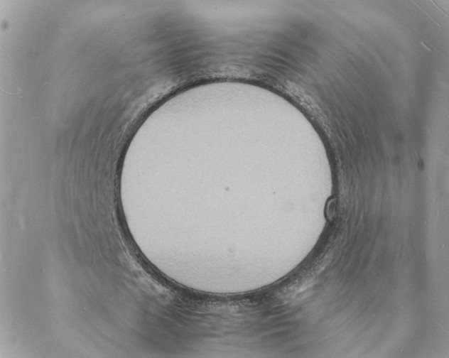 X0000088070625200706011514