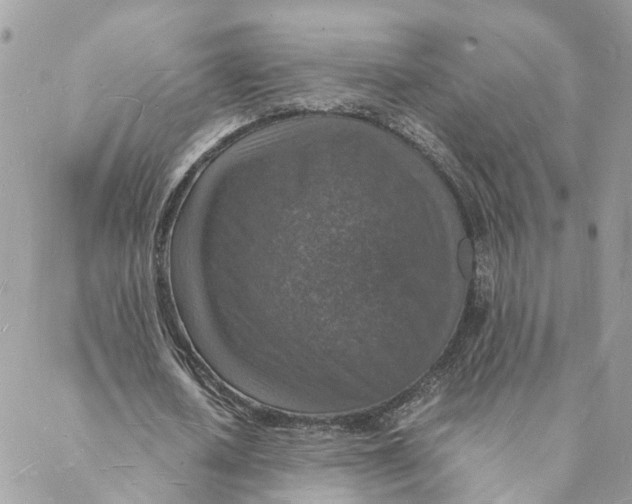 X0000088070626200706011514