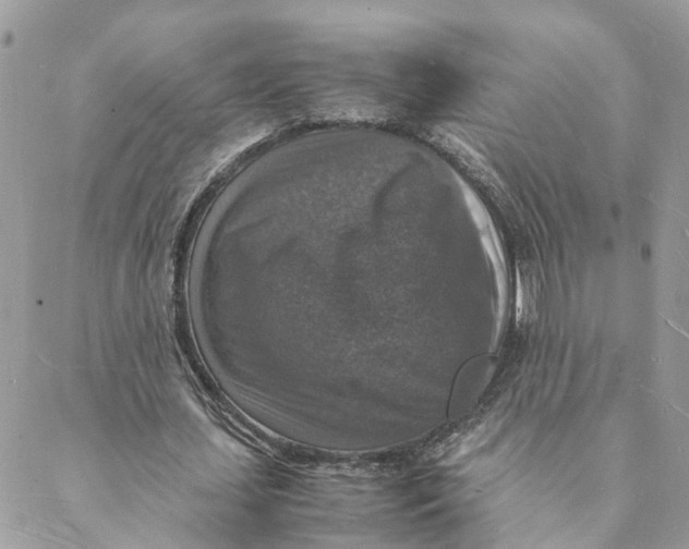 X0000088070627200706011514