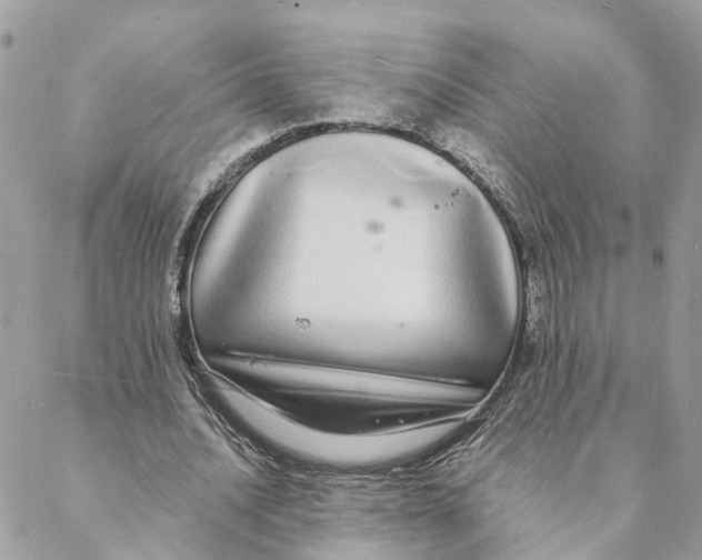 X0000088070628200706011514