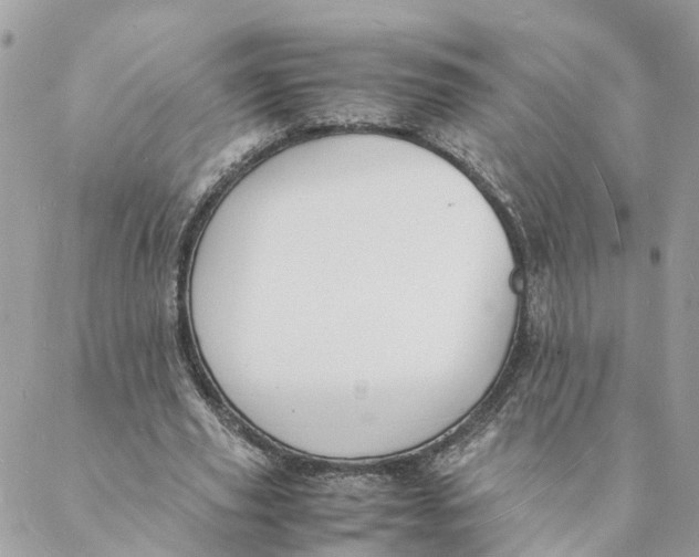 X0000088070629200706011514