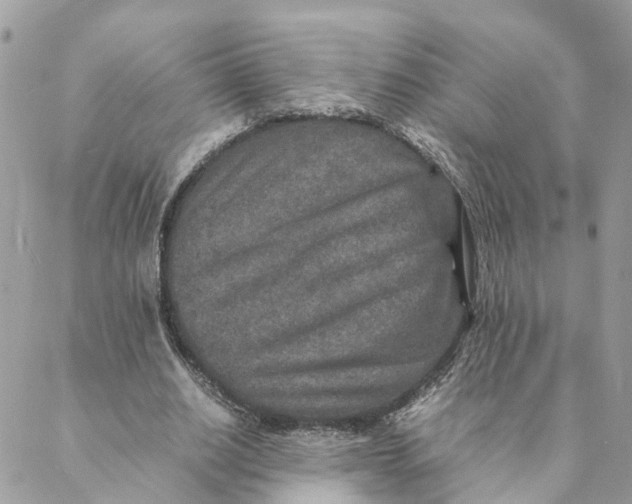 X0000088070630200706011514