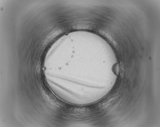 X0000088070631200706011514