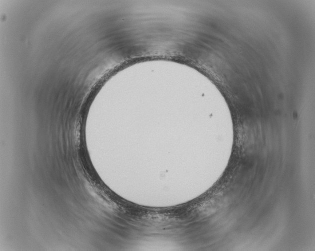 X0000088070632200706011514