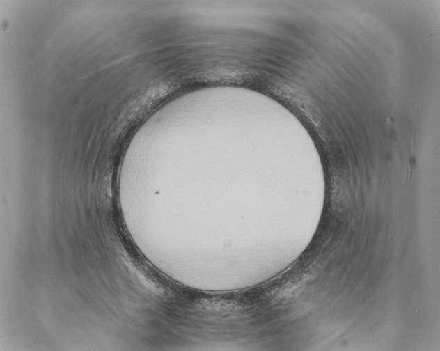 X0000088070633200706011514