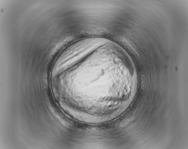 X0000088070634200706011514