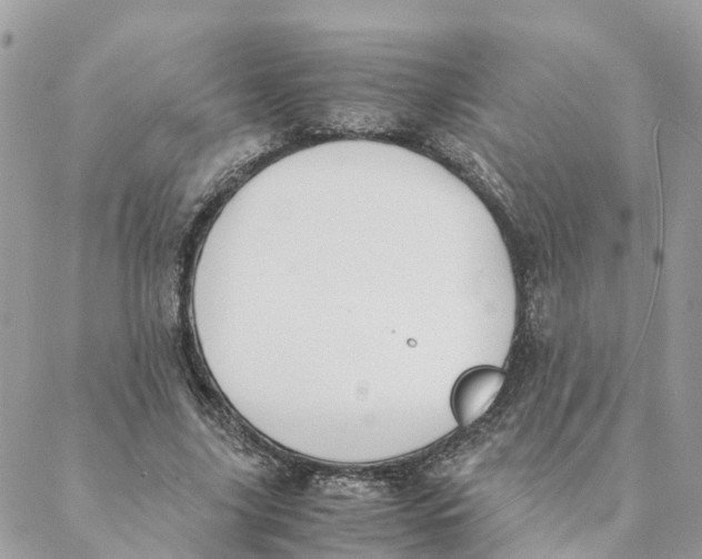 X0000088070635200706011514