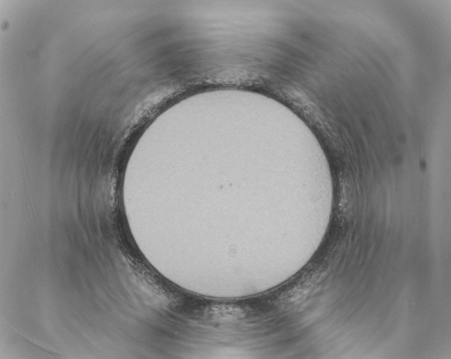 X0000088070636200706011514