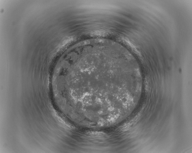 X0000088070637200706011514