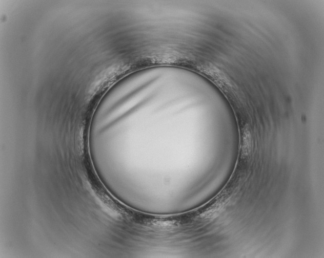 X0000088070638200706011514